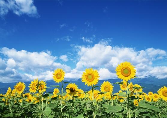 用責(zé)任點(diǎn)燃青春，以擔(dān)當(dāng)成就事業(yè)