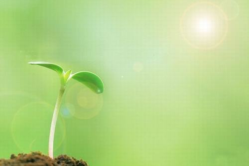 歲生之初，且聽我說