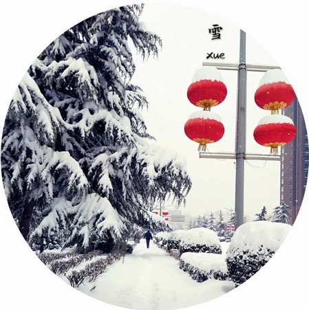 雪，寒冬里的溫柔