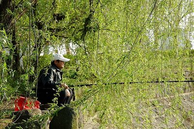 春天，一個多么富有詩意的名字??！