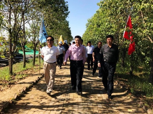 陜西省總工會黨組書記、主席白阿瑩一行蒞臨鄠邑區(qū)調(diào)研考察草堂寺健康養(yǎng)老示范項目