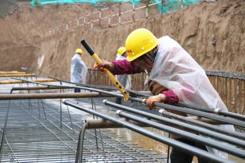 雨天里，“小蜜蜂們”在“筑巢”