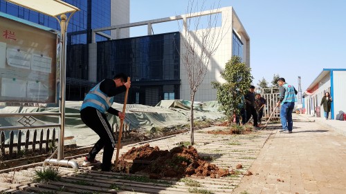 陜煤建設澄合分公司基層單位開展“植樹護綠，美麗家園”義務植樹活動