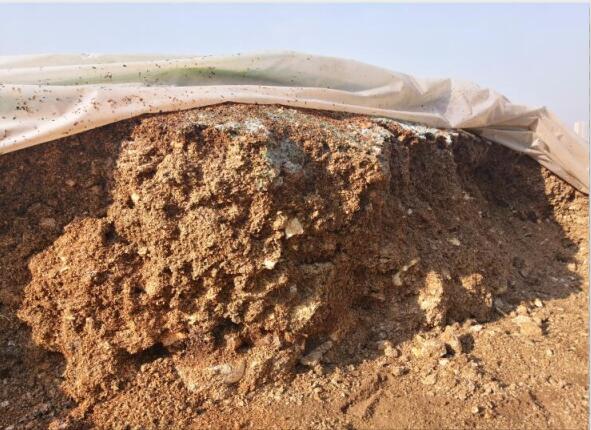 “廢料”變“肥料”，蘑菇包在土壤改良中的應(yīng)用