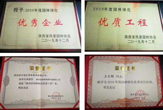 喜訊！綠宇公司榮獲省級“2019年度園林綠化優(yōu)秀企業(yè)”等三項榮譽