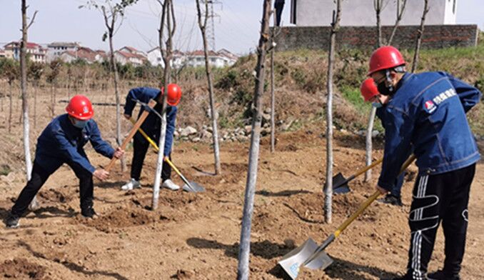 今天你植樹了嗎？