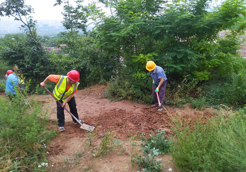 青年突擊勇?lián)?dāng)，助民防洪顯形象