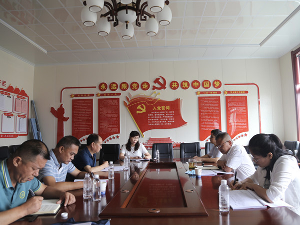 陜煤建設(shè)機(jī)電安裝公司召開黨支部標(biāo)準(zhǔn)化建設(shè)督導(dǎo)推進(jìn)會(huì)