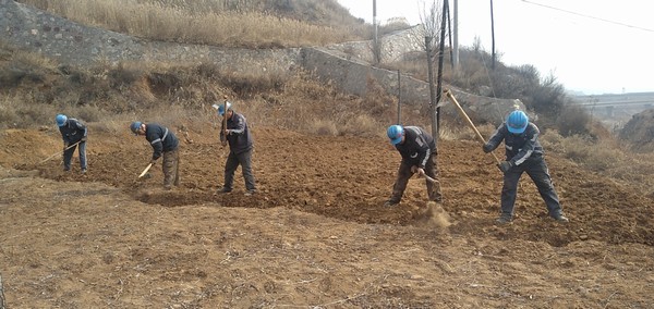 陜煤建設(shè)洗選煤運(yùn)營(yíng)公司左權(quán)洗煤廠項(xiàng)目部：春耕“小菜園”，播種幸福感