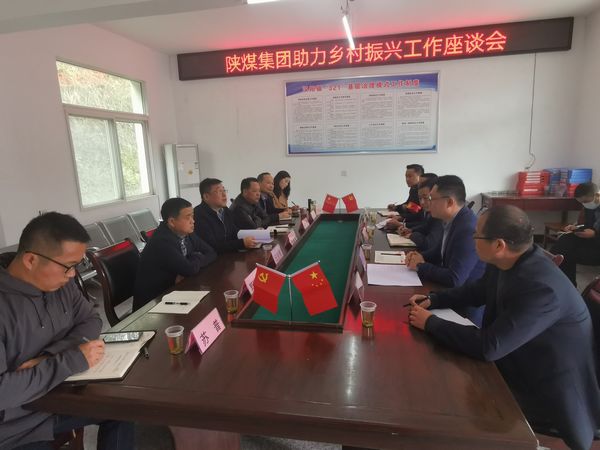 陜煤集團助力鄉(xiāng)村振興辦主任徐國強蒞臨陜煤建設集團定點幫扶村調研指導工作