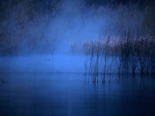 “冬月”你好！