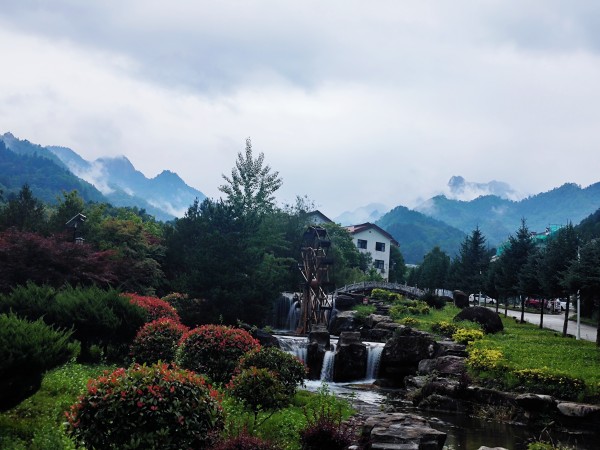 在木王山，遇見21℃的夏天
