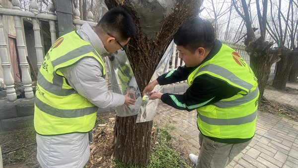 陜煤建設路橋分公司渭南項目部開展“綠色修復，生態(tài)共贏”別樣植樹節(jié)活動