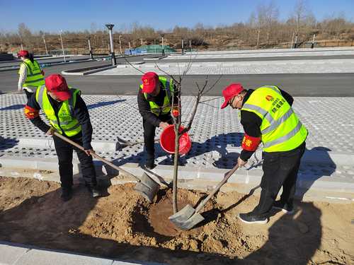 陜煤建設(shè)榆林公司開展“春日有約 ‘益’起種樹 綠色傳承 根植心間”主題黨日活動(dòng)