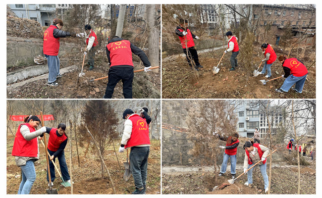 陜煤建設(shè)機(jī)電安裝公司：走，上春山，植樹去！