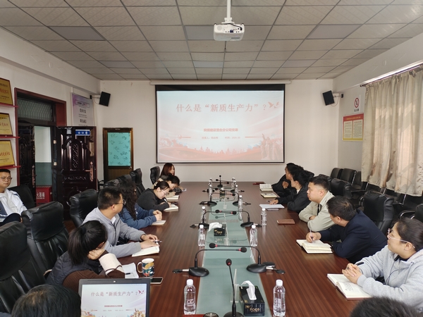 陜煤建設(shè)澄合分公司“新質(zhì)生產(chǎn)力”專題黨課引熱議
