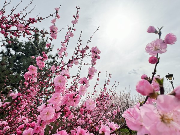 與“春天”來一場鏤空邂逅