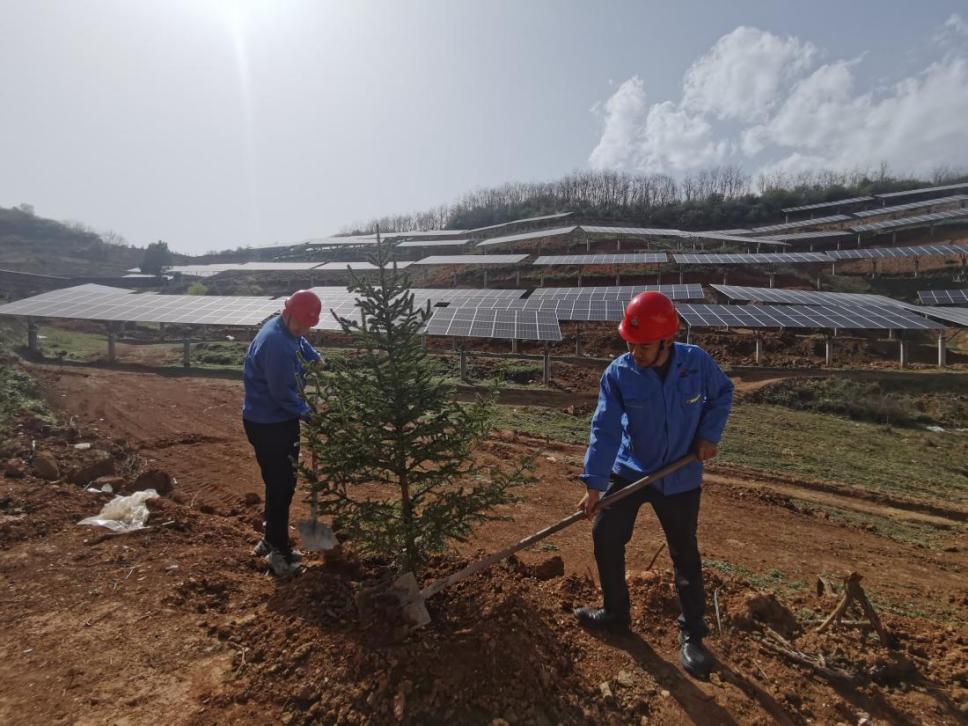 陜煤建設(shè)西北分公司機(jī)電安裝項(xiàng)目部： 全員參與，共筑綠色屏障