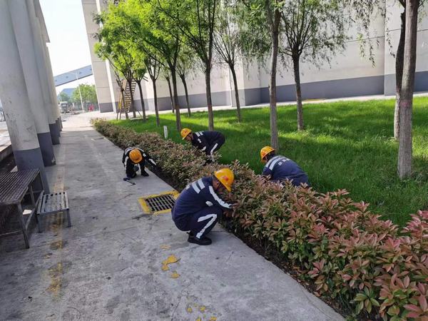 陜煤建設(shè)洗選煤運(yùn)營(yíng)公司神渭蒲城運(yùn)營(yíng)項(xiàng)目部：逐”綠”而行 向”綠”而興！廠區(qū)綠化在行動(dòng)