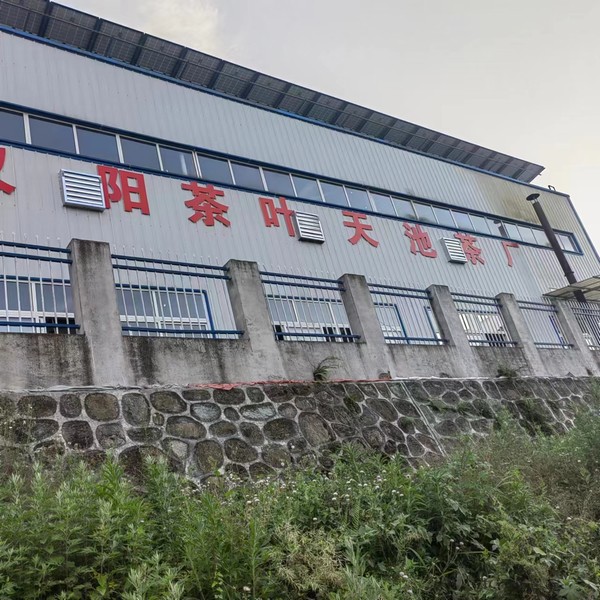 實事一件接著一件，跑出鄉(xiāng)村振興“加速度”