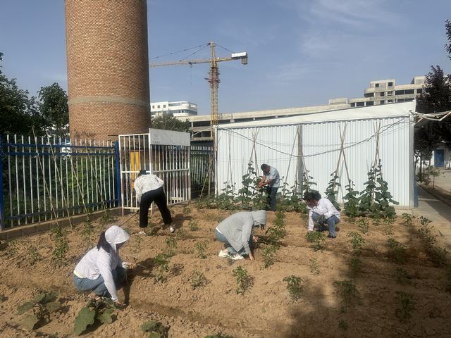 陜煤建設(shè)韓城分公司土建六項(xiàng)目部：打造美麗的“花園”角落