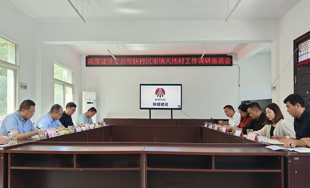 司正林到漢陰縣天池村調(diào)研助力鄉(xiāng)村振興工作