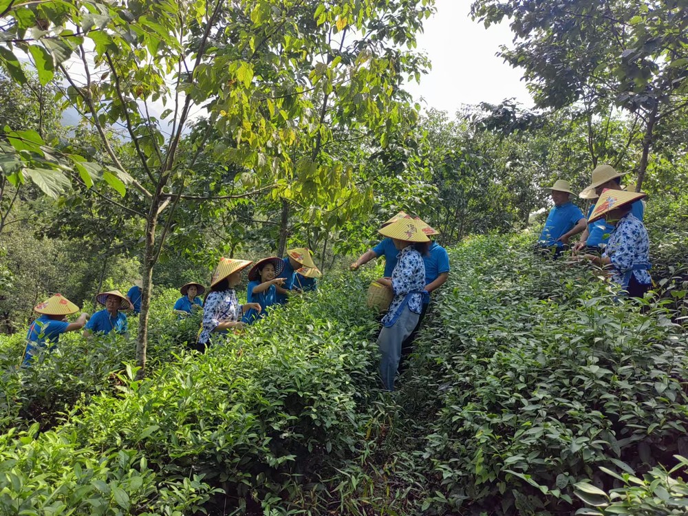 陜煤建設(shè)煤礦運(yùn)營(yíng)服務(wù)分公司：赴天池村開(kāi)展主題黨日活動(dòng)