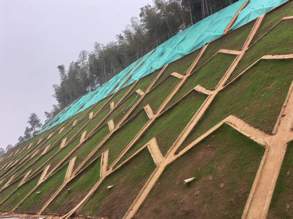 陜煤建設(shè)西北分公司：邊坡披綠衣，防護顯匠心