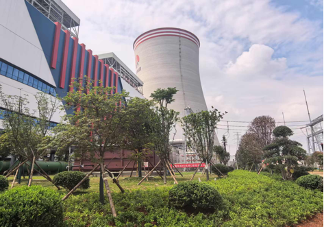 陜煤建設(shè)西北分公司：綠意盎然入電廠，生態(tài)建設(shè)譜新章