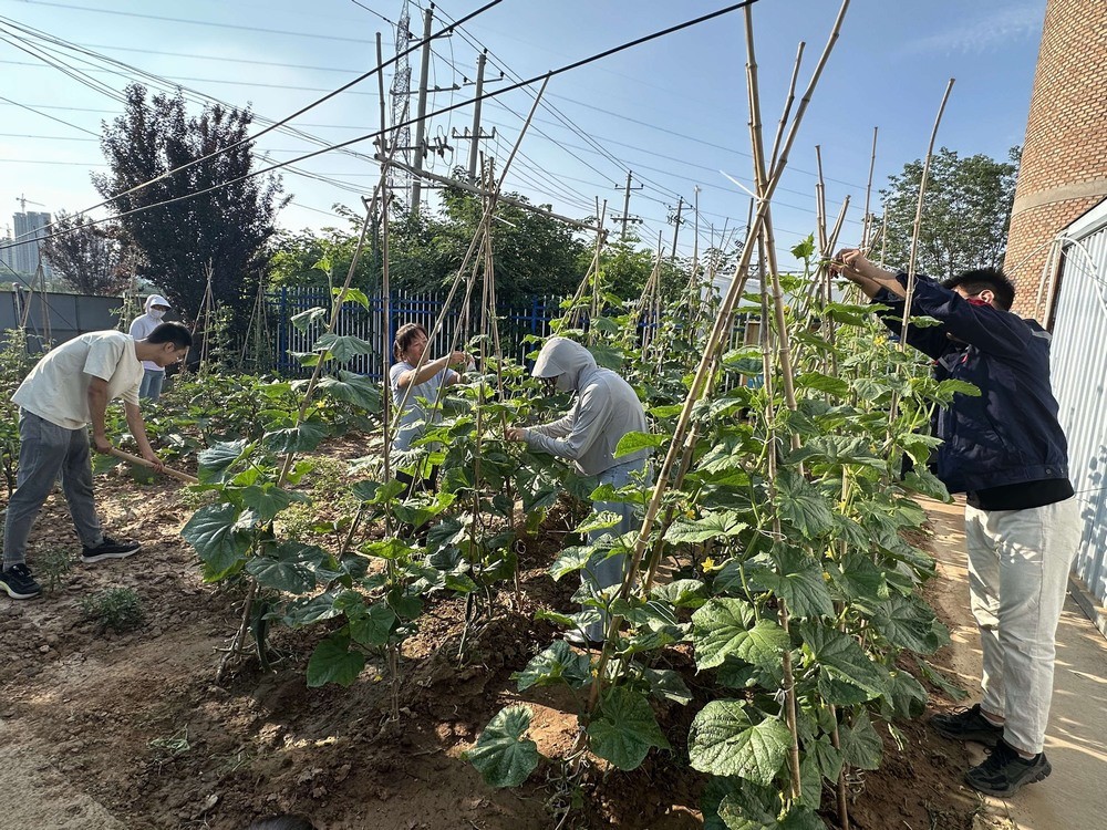 方寸菜園間，鐫刻奮斗與溫情