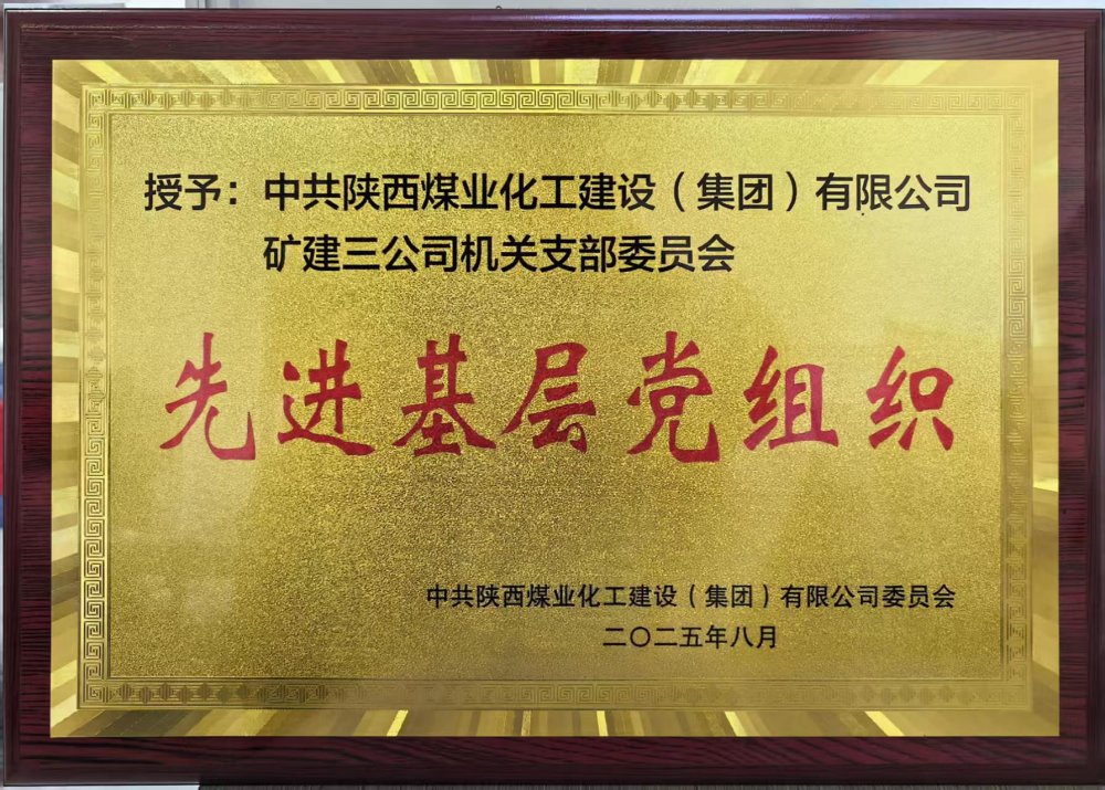 黨建引領(lǐng)促發(fā)展 融合共進(jìn)譜新篇