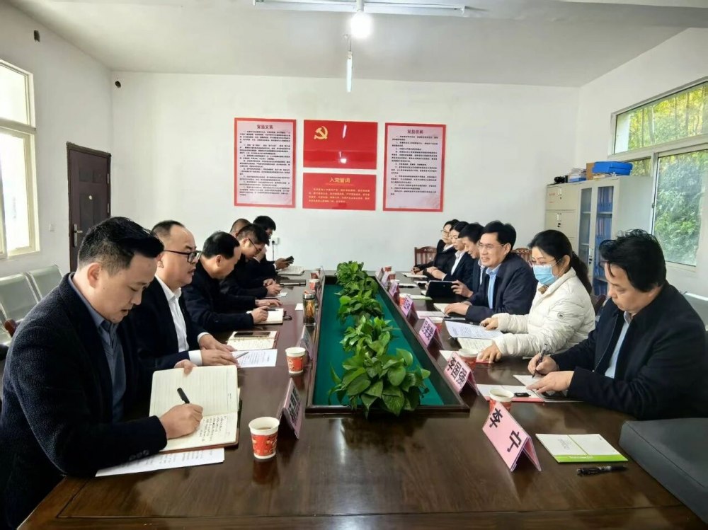司正林深入定點(diǎn)幫扶村調(diào)研督導(dǎo)鄉(xiāng)村振興工作