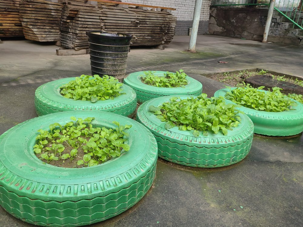 創(chuàng)意無休，廢舊輪胎也能C位出道