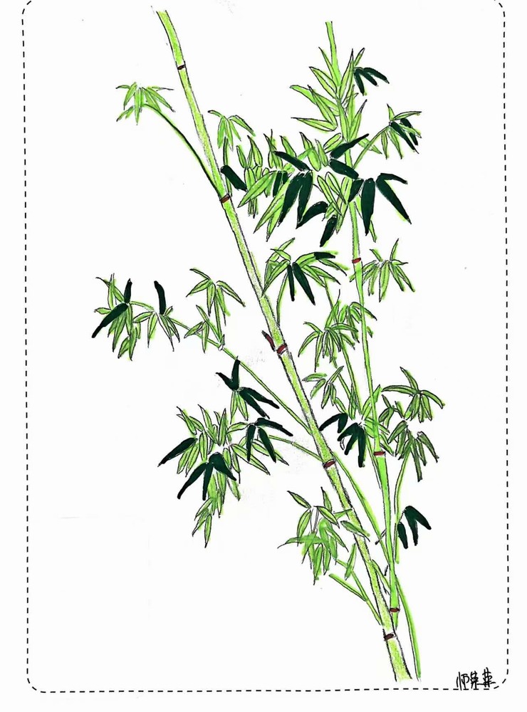 漫說廉潔！這組“草木廉盟”太可了